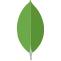 MongoDB